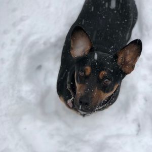 Meet your Posher, Ella